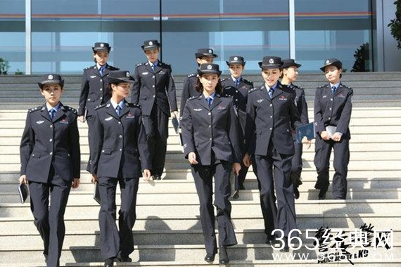 电视剧警花与警犬经典台词