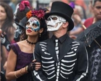 365每周放映室第3期：那些续作不断的作品