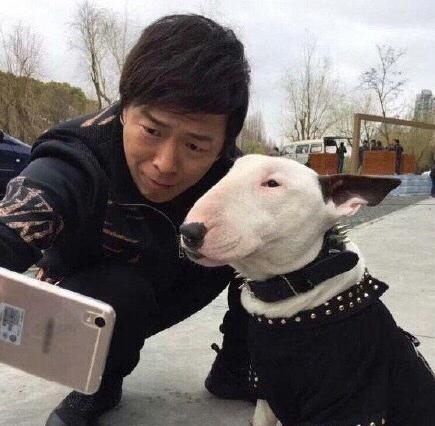 365星辰8月16日：颜王孙红雷