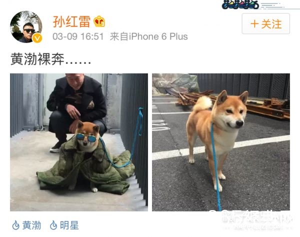 365星辰8月16日：颜王孙红雷