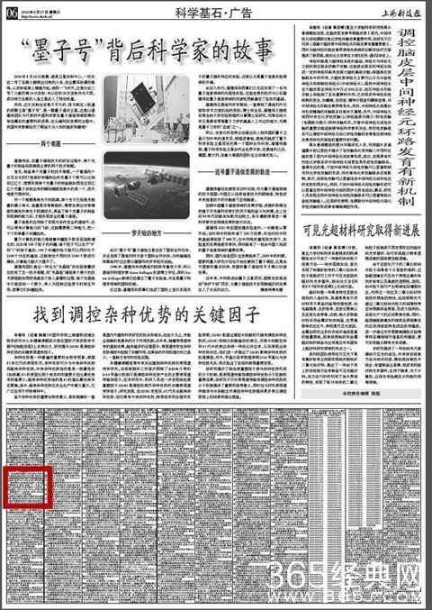 执照公章丢失 王宝强工作室发遗失声明