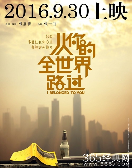 从你的全世界路过什么时候上映