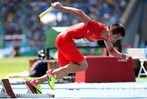 里约奥运8月18日  任茜女子十米板摘金 司雅杰银牌