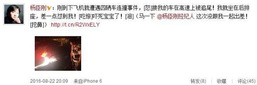 杨臣刚高速上遭遇追尾险被撞：差点怼到我