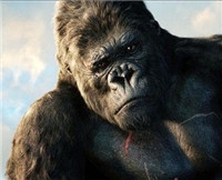 365每周放映室第4期：翻拍电影