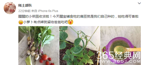 章子怡自己种菜给醒醒吃 还留了一份给醒她爸