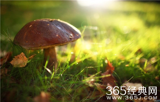 哪有什么洪荒之力，不过是在咬牙坚持