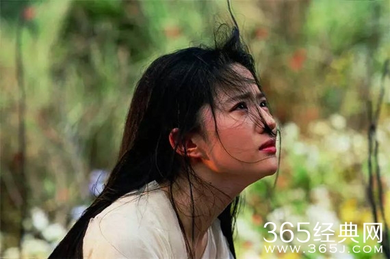 365星辰8月25日：神仙姐姐刘亦菲