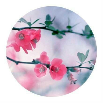 人生晚吃苦不如早吃苦