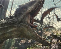 365每周放映室第5期：没有奥特曼怎么打小怪兽