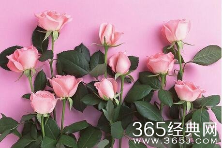 名人健康语录30句