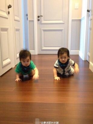 心要融化！林志颖双胞胎儿子地上爬讨抱抱