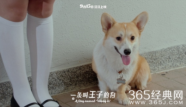 2016年中秋电影扎堆上映 大话西游也玩穿越