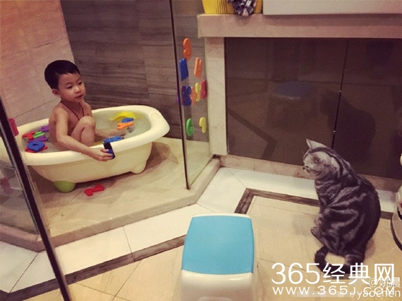 姚晨晒儿子与宠物猫同框照 画面温馨有爱