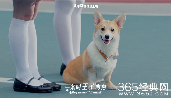 2016年中秋电影扎堆上映 大话西游也玩穿越