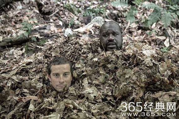 姚明接受贝爷挑战参加野外生存