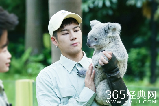 理智追星！曝王嘉尔被黄牛粉丝追车致腰伤