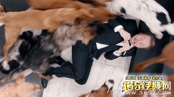 2016年9月电影上映时间表 9月电影大全