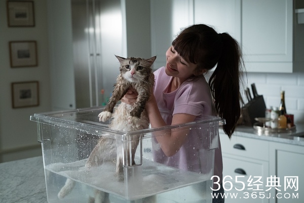 2016年9月电影上映时间表 9月电影大全