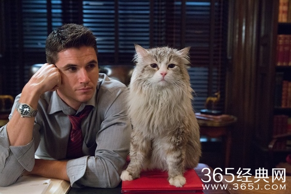 2016年9月电影上映时间表 9月电影大全