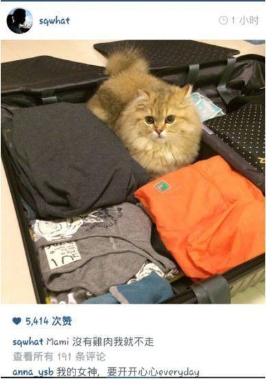 揭舒淇冯德伦二人19年爱恨纠缠 既甜蜜又心酸