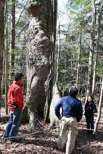 北大学生怒骂日本记者视频在线观看 全程无脏字
