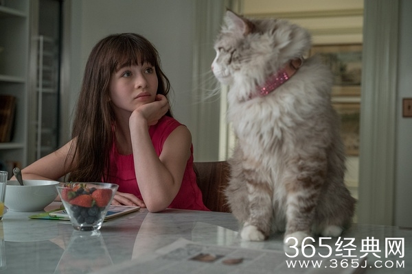 2016年9月电影上映时间表 9月电影大全