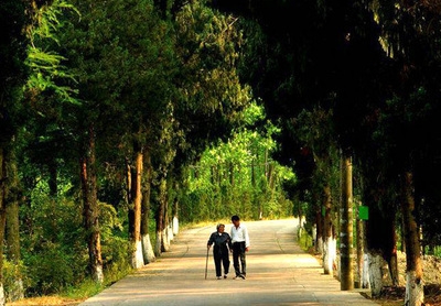 故事很短，却影响了上亿人