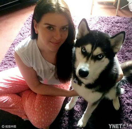 哈士奇靠瞪主人爆红 成功治愈主人的抑郁症