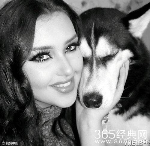 哈士奇靠瞪主人爆红 成功治愈主人的抑郁症