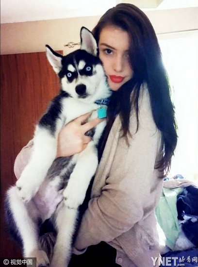 哈士奇靠瞪主人爆红 成功治愈主人的抑郁症