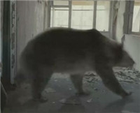 365每周放映室第6期：打雷啦下雨啦回家收衣服啦——灾难片推荐