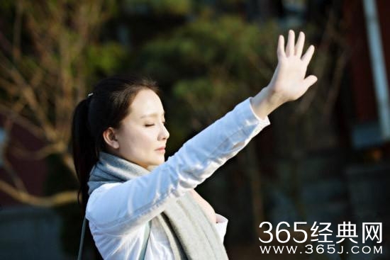 动物慈善新高度 孙茜首为导盲犬办T台秀