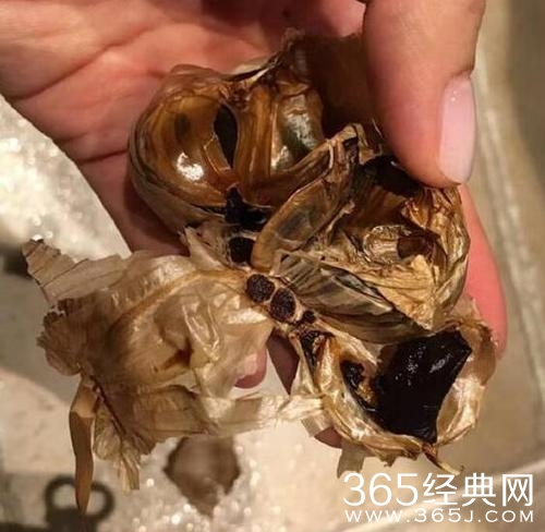 邓超晒照吐槽孙俪做黑暗料理,求网友收留