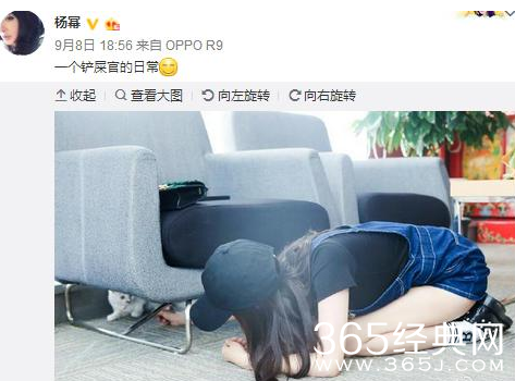 杨幂趴地哄猫 细白铅笔腿零赘肉超抢镜