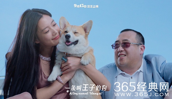 2016年9月电影上映时间表 9月电影大全