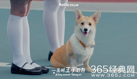 2016年9月电影上映时间表 9月电影大全