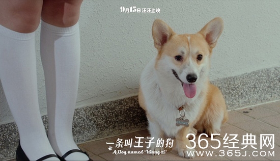 2016年9月电影上映时间表 9月电影大全