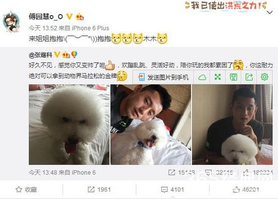 张继科晒萌狗引傅园慧关注：来！姐姐抱抱