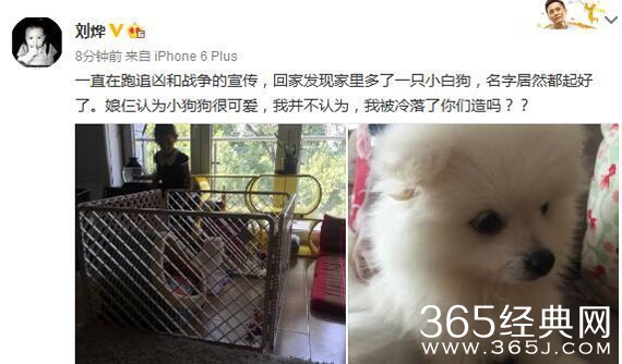 刘烨妻儿趁他不在养宠物 网友：人不如狗
