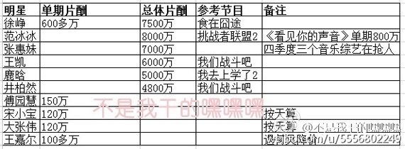 网曝明星综艺节目片酬 范冰冰8000万登顶