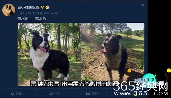 孟非首度开放私人生活 怒斥女司机：不让你插队