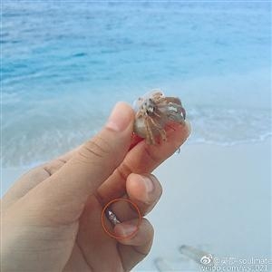 曝刘翔《极速前进》求婚吴莎 俩人同款婚戒遭扒