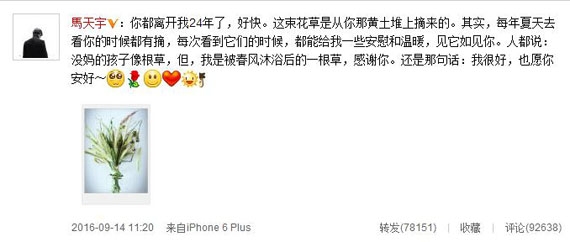 马天宇妈妈离世24年 从坟头摘下花草怀念