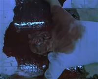 365每周放映室第7期：鬼才温子仁的惊悚帝国