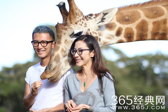 谢霆锋避谈王菲：林忆莲做饭最好吃