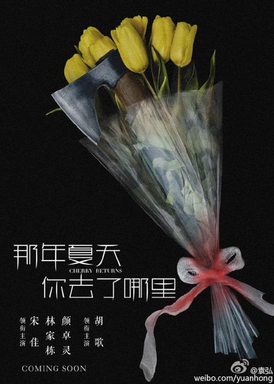 袁弘发微博配有带有胡歌名字的海报 网友评论炸锅