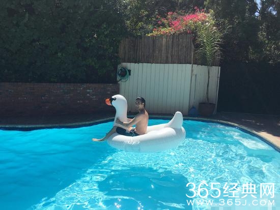 温馨！王力宏教女儿游泳 把“天鹅”当坐骑