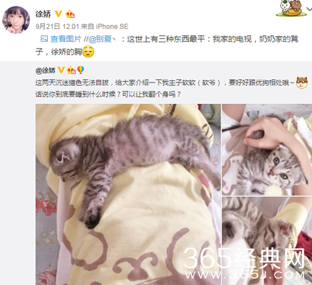 徐娇被网友吐槽“胸太平” 只用一张图反击