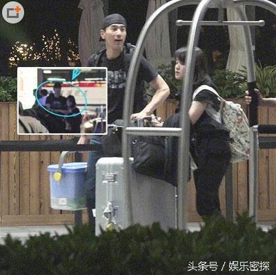 不孕症？遭家暴？高圆圆赵又廷结婚多年未生育竟有如此隐情